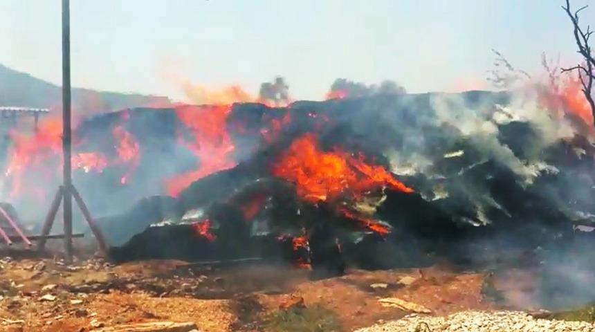 Milas’ta 6 bin balya saman kül oldu