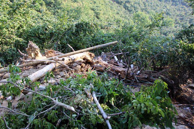 Akçakoca'nın Karatavuk köyü de selden etkilendi