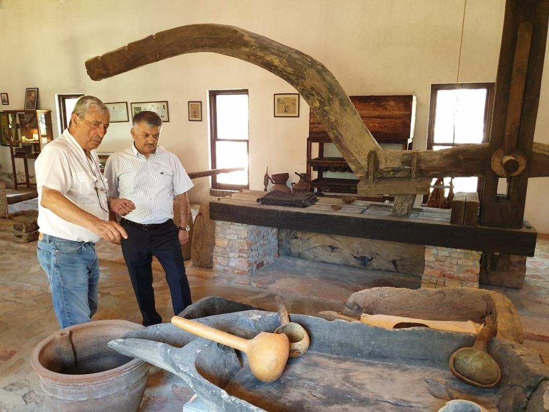 Zeytinin Anadolu topraklarındaki yolculuğu ve ge&ccedil;mişi bu m&uuml;zede anlatılıyor