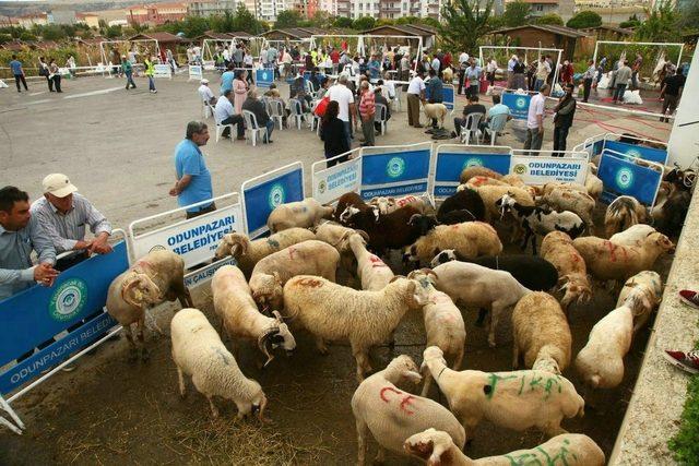 Odunpazarı’nda Kurban Bayramı hizmetleri ücretsiz