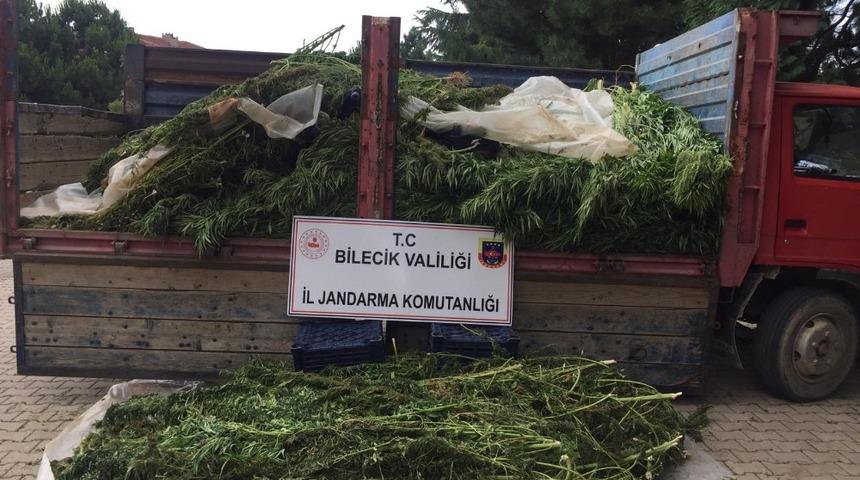 Bilecik&rsquo;te kubar esrar ve kenevir ele ge&ccedil;irildi