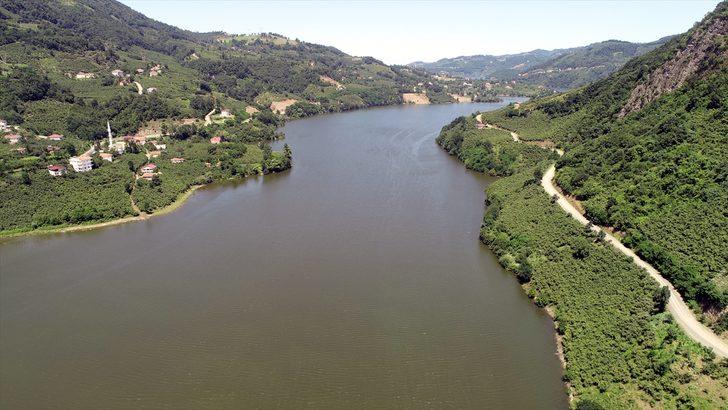 Fındık bahçeleri arasındaki saklı güzellik: Ayvacık G4