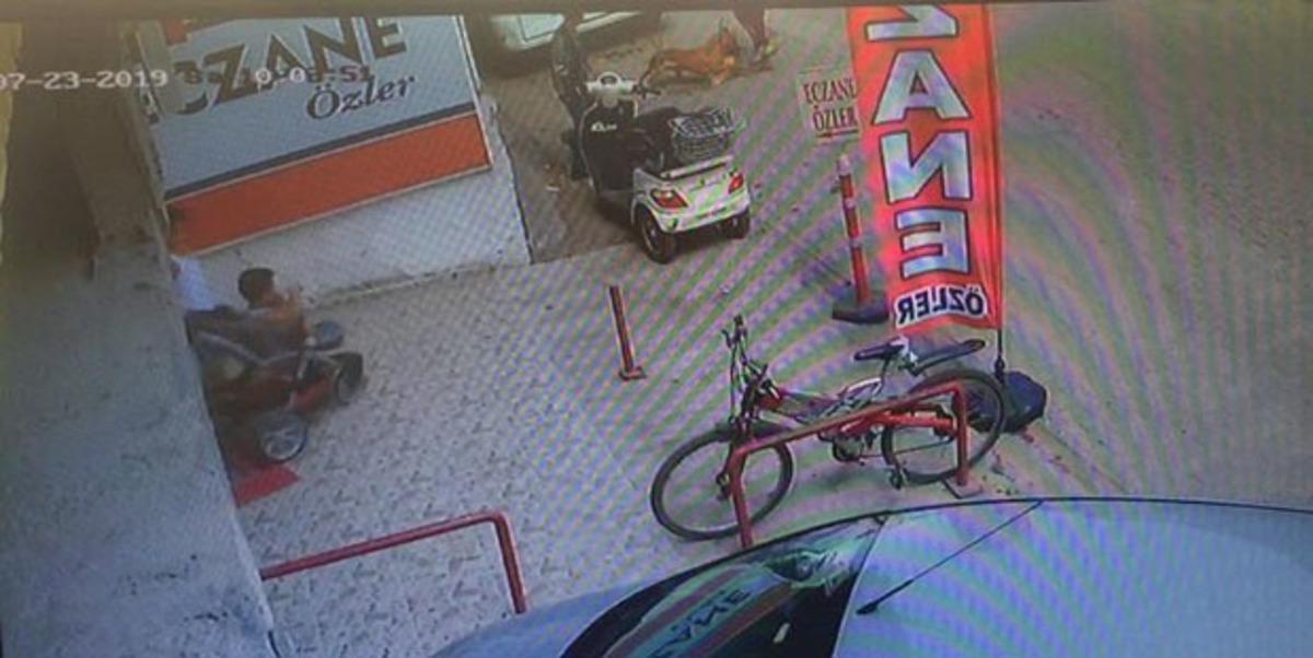 Hamile kediyi Pitbull'un &ouml;n&uuml;ne atıp par&ccedil;alatan 3 &ccedil;ocuk g&ouml;zaltına alındı