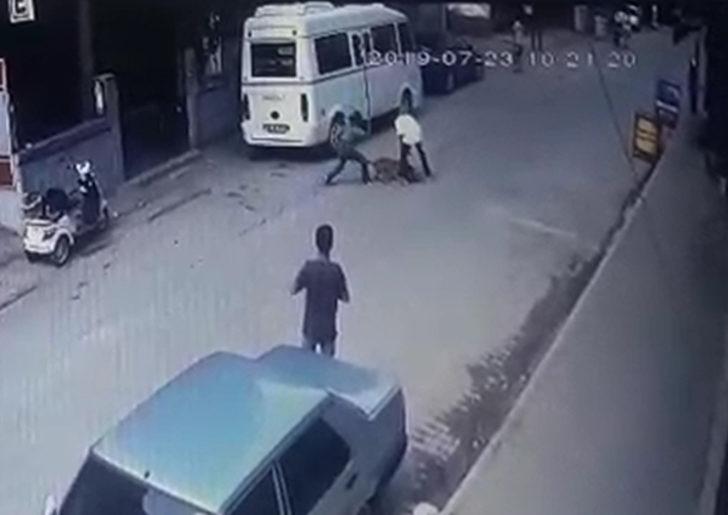 Hamile kediyi Pitbull'un önüne atıp parçalatan 3 çocuk gözaltına alındı G1