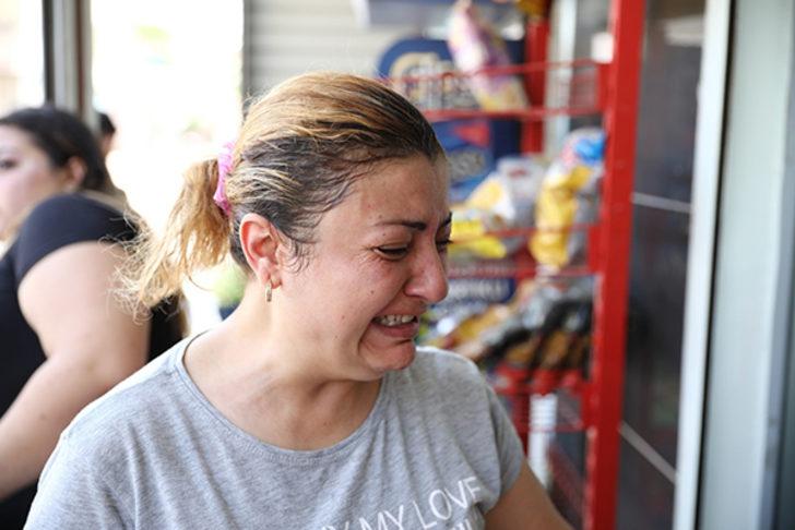 Hamile kediyi Pitbull'un önüne atıp parçalatan 3 çocuk gözaltına alındı G2