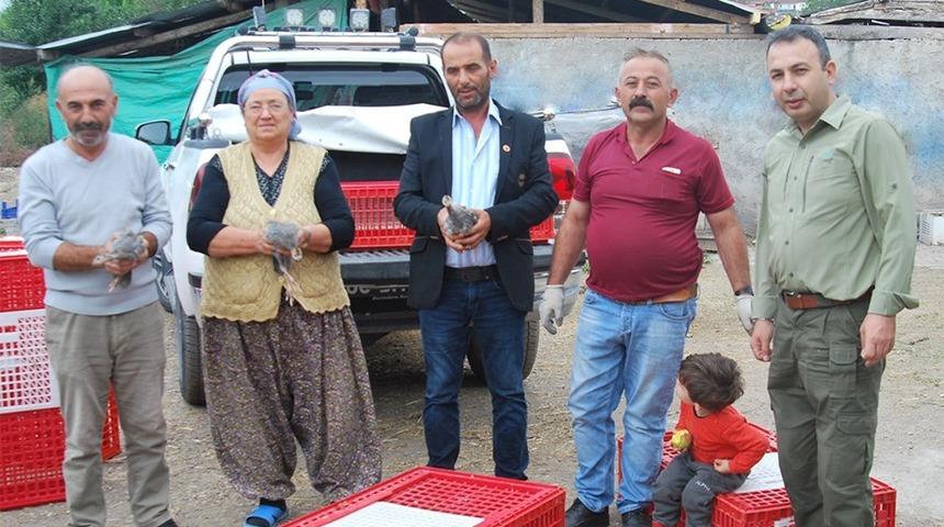 Tokat&rsquo;ta keneye karşı be&ccedil; tavuğu dağıtıldı
