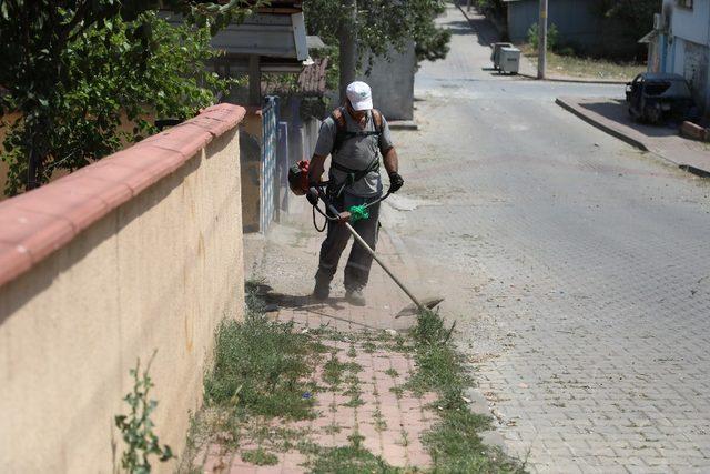 Çayırova’da çevre düzenleme çalışmaları sürüyor