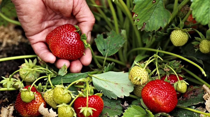 B&ouml;cek ilacı kalıntısı t&uuml;p bebeğe engel mi oluyor?