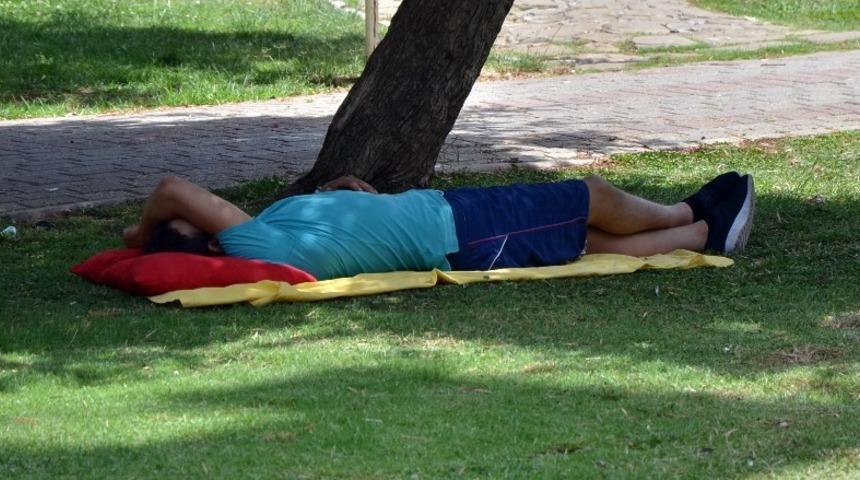 Doğu&rsquo;da hava sıcaklığı mevsim normallerinde seyredecek