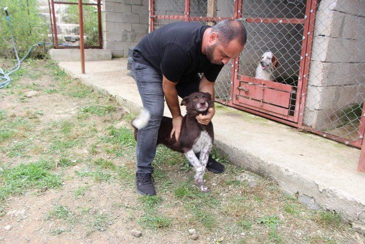 Soyu 1200'lü yıllara dayanıyor! İşte jandarmanın gözdesi 'Zerdava' G5