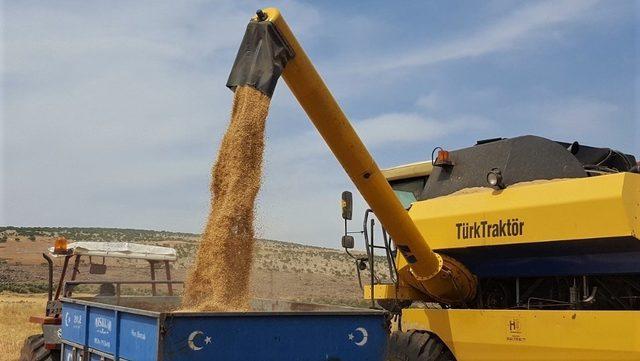 (Özel) Buğday ve arpa üreticisi umduğunu bulamadı