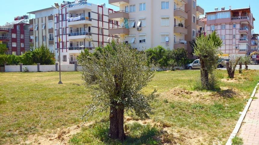 Kepez Belediyesinden yeşillendirme çalışması