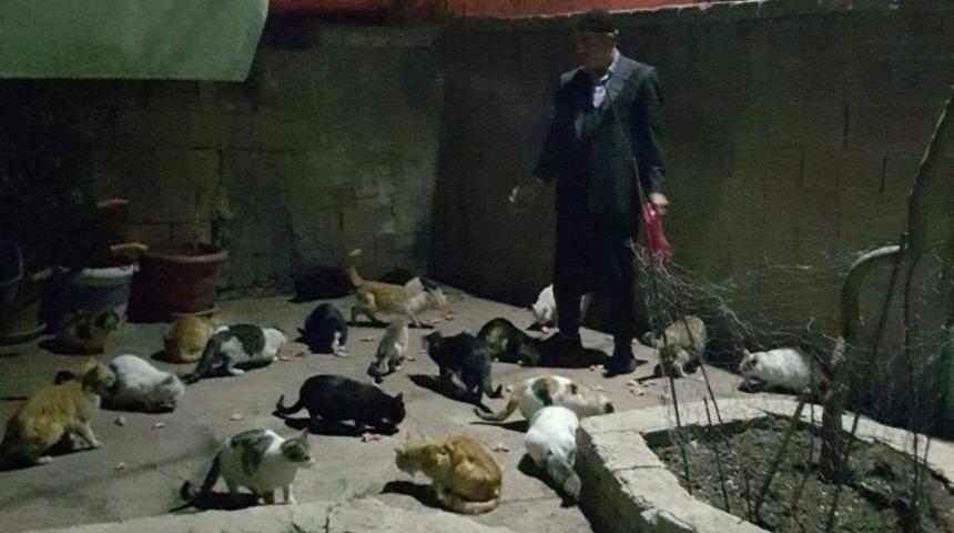 Erganili vatandaş, sokak kedilerine kucak açıyor
