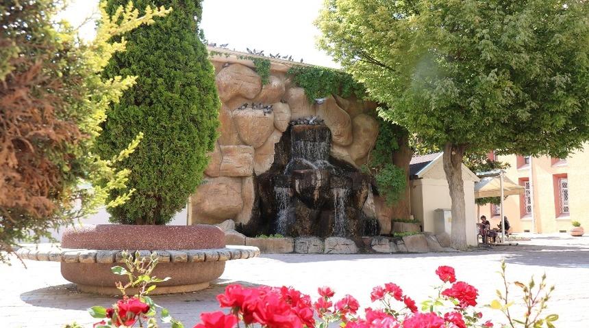 Sıcaklıkların bunalttığı kuşlar su kenarlarına akın ediyor