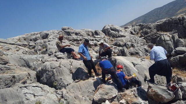 Kayalıklarda kuyuya düşen keçi kurtarıldı