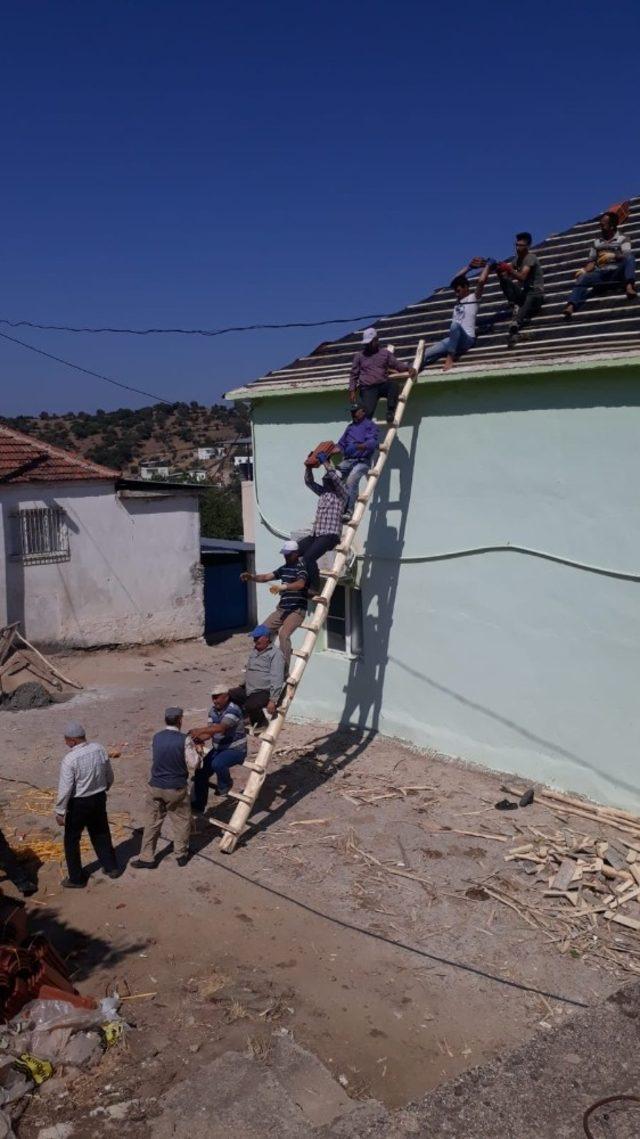 Karıncaları örnek alan köylüler sorunu yarım saatte çözdü