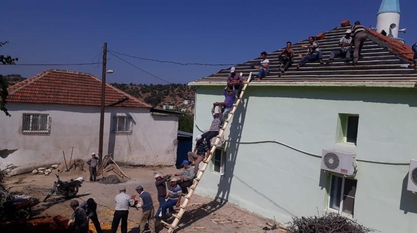 Karıncaları örnek alan köylüler sorunu yarım saatte çözdü