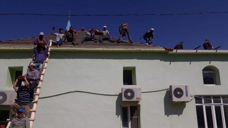 Karıncaları örnek alan köylüler sorunu yarım saatte çözdü G3