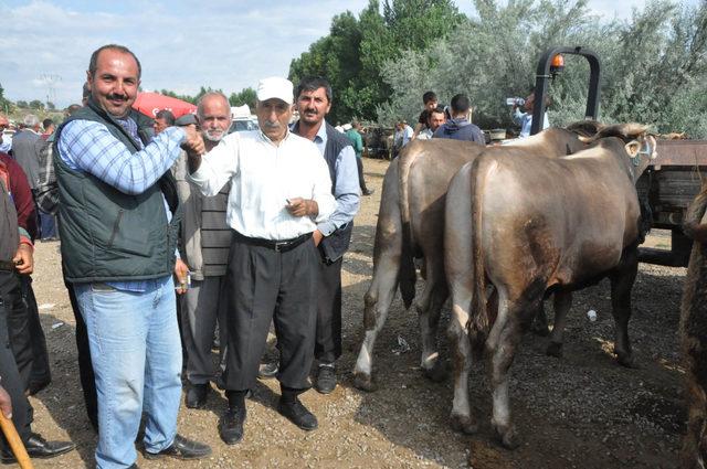 Kurban pazarının 1 tonluk 'Paşa'sı, alıcısını bekliyor