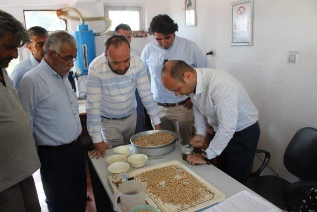 Tonlarca nohut çiftçinin elinde kaldı