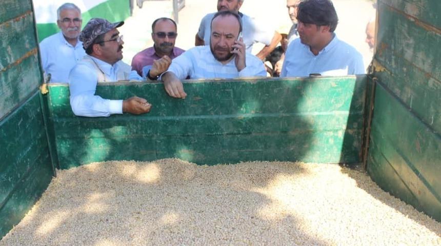 Tonlarca nohut &ccedil;ift&ccedil;inin elinde kaldı