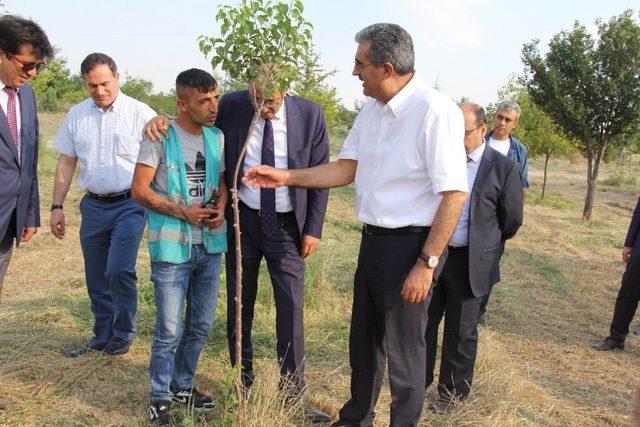 Konya Şeker’in Ağaçlandırma Projesi’ne bir destek de mahkumlardan geldi