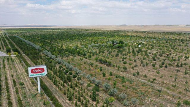 Konya Şeker’in Ağaçlandırma Projesi’ne bir destek de mahkumlardan geldi