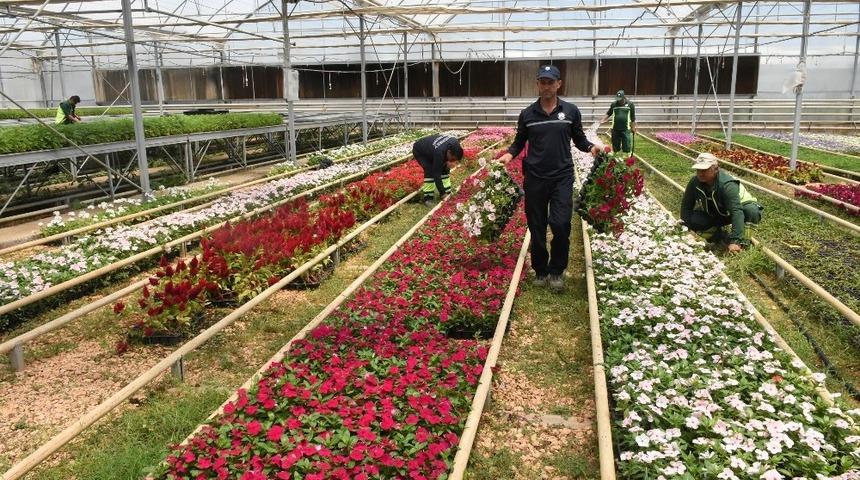 Şahinbey rengarenk &ccedil;i&ccedil;eklerle bezendi
