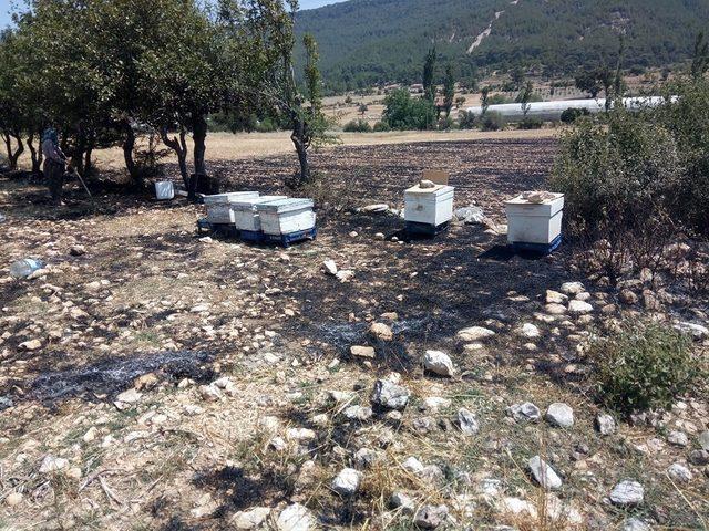 Kaş’ta çıkan anız yangını korkuttu