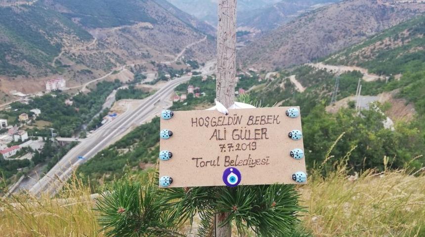 Torul&rsquo;da her yeni doğan i&ccedil;in bir fidan dikiliyor