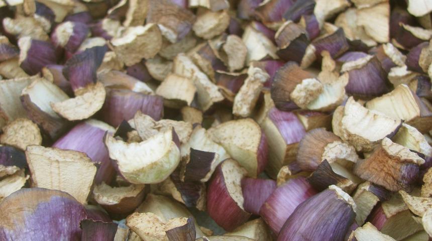 Organik sebzelerde "kurutma" mesaisi