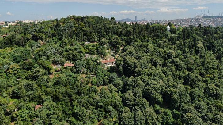 Günlerce konuşulmuştu! İşte Adnan Oktar'ın evinin şimdiki hali G1