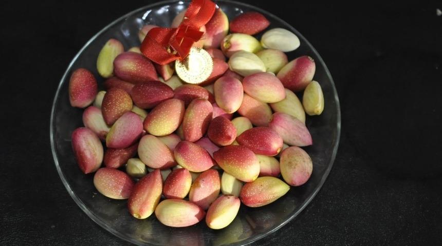 Fıstıkta ilk hasada çeyrek altın ödülü