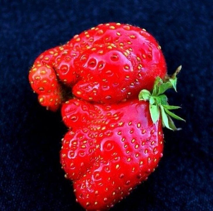 Aldıkları şekillerle şaşırtan 14 meyve ve sebze G2