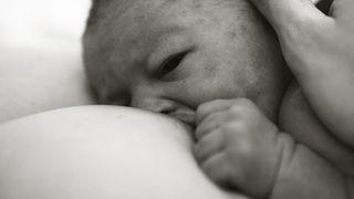 Batı Nil Virüsü dünyaya yayıldı, anne sütüyle bile bulaşabiliyor