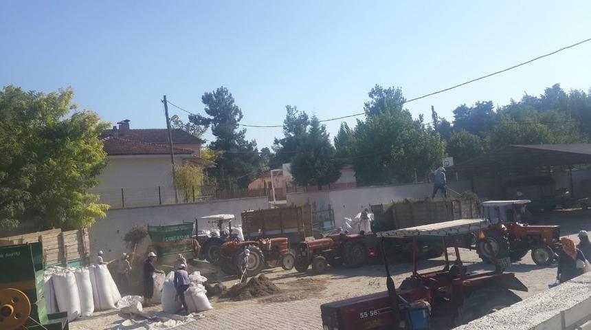 Buldan&rsquo;da kekik &uuml;reticisinin y&uuml;z&uuml;n&uuml; g&uuml;ld&uuml;rd&uuml;