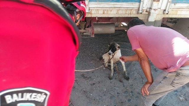 Kanalda mahsur kalan köpeği itfaiye kurtardı