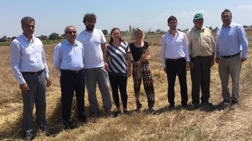 Kırklareli&rsquo;de &rsquo;Siyez Buğdayı&rsquo; hasadı