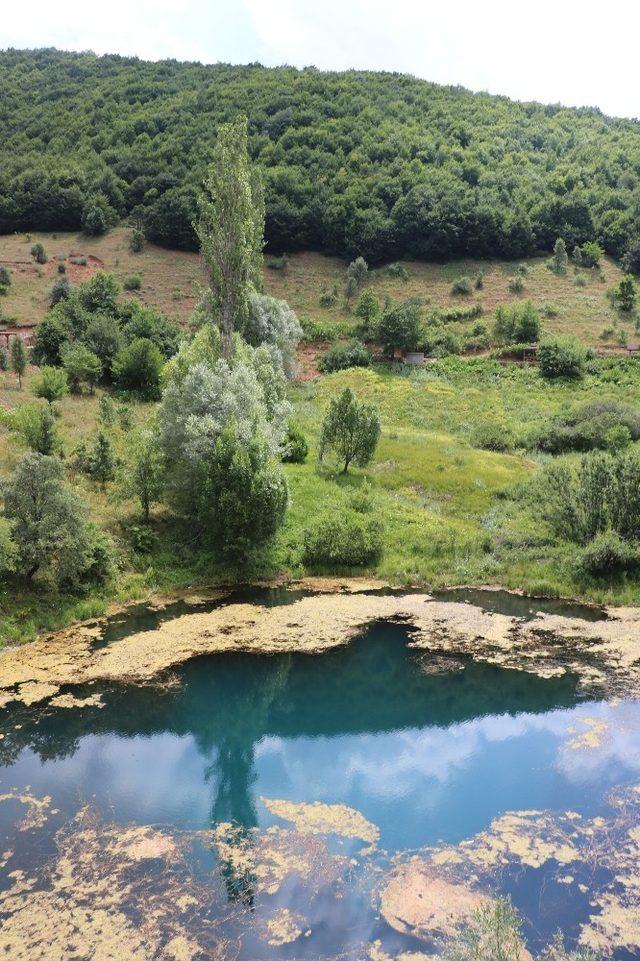 Türkiye’de dört taneler, Sivas’taki turistlerin ilgi odağı