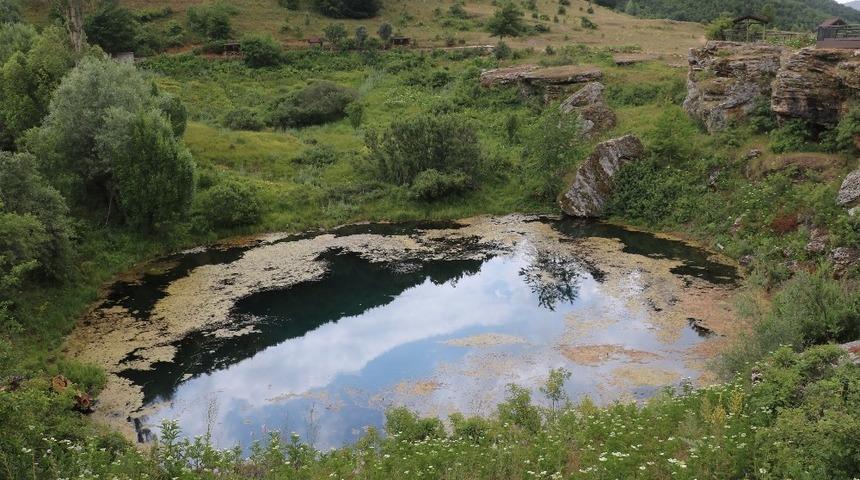 T&uuml;rkiye&rsquo;de d&ouml;rt taneler, Sivas&rsquo;taki turistlerin ilgi odağı