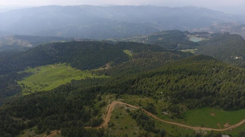 5 milyon 96 bin 286 adet fidan toprakla buluştu