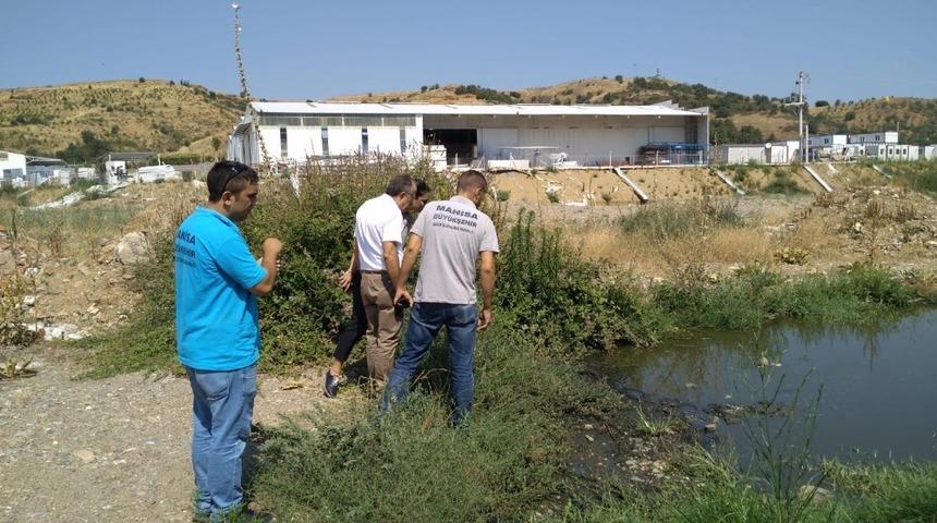 Turgutlu ve Salihli&rsquo;de haşereyle m&uuml;cadele devam ediyor