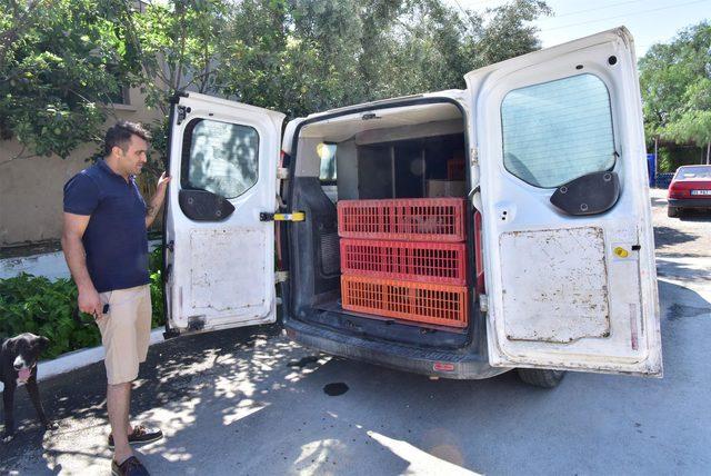 İzmir'de palet deposunda yangın (3)