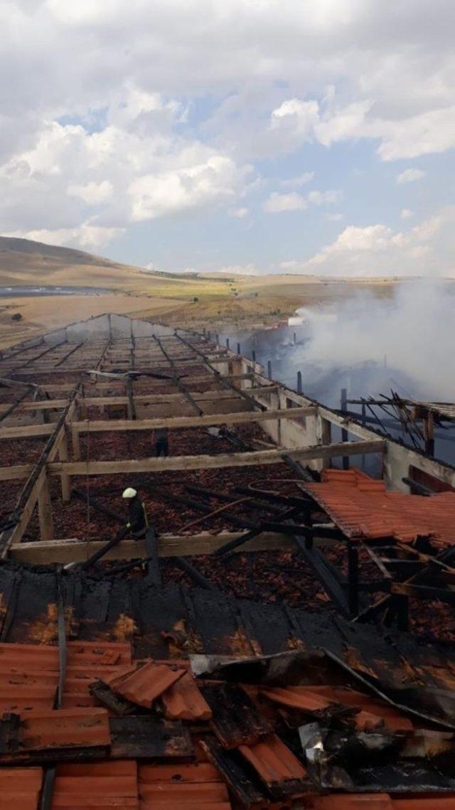 Kırşehir’de mandırada yangın çıktı