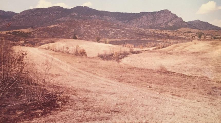 Elmalı’da 20 yıl önce yanan orman yeniden canlandı