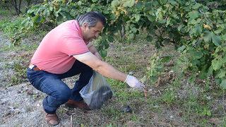 Böyle yöntem görülmedi! 3 yıldır tarlasının etrafına insan saçı döküyor!