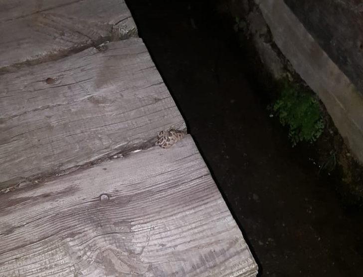 Bir anda acı içinde kıvranmaya başladı! Şoke eden gerçeği ise hastanede öğrendiler G5