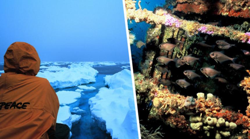 Ondan geriye bu fotoğraflar miras kaldı!