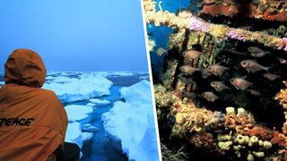 Ondan geriye bu fotoğraflar miras kaldı!