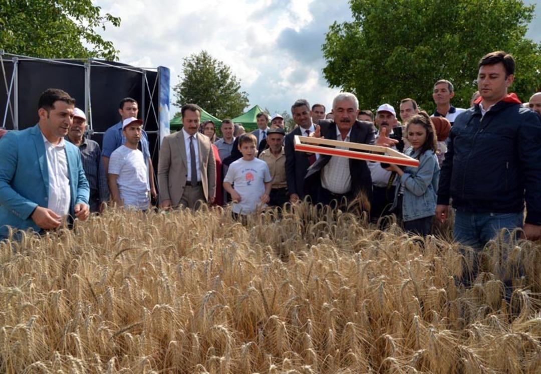 Vali Şent&uuml;rk Tarla G&uuml;n&uuml;&rsquo;nde bi&ccedil;erd&ouml;verle hasat yaptı